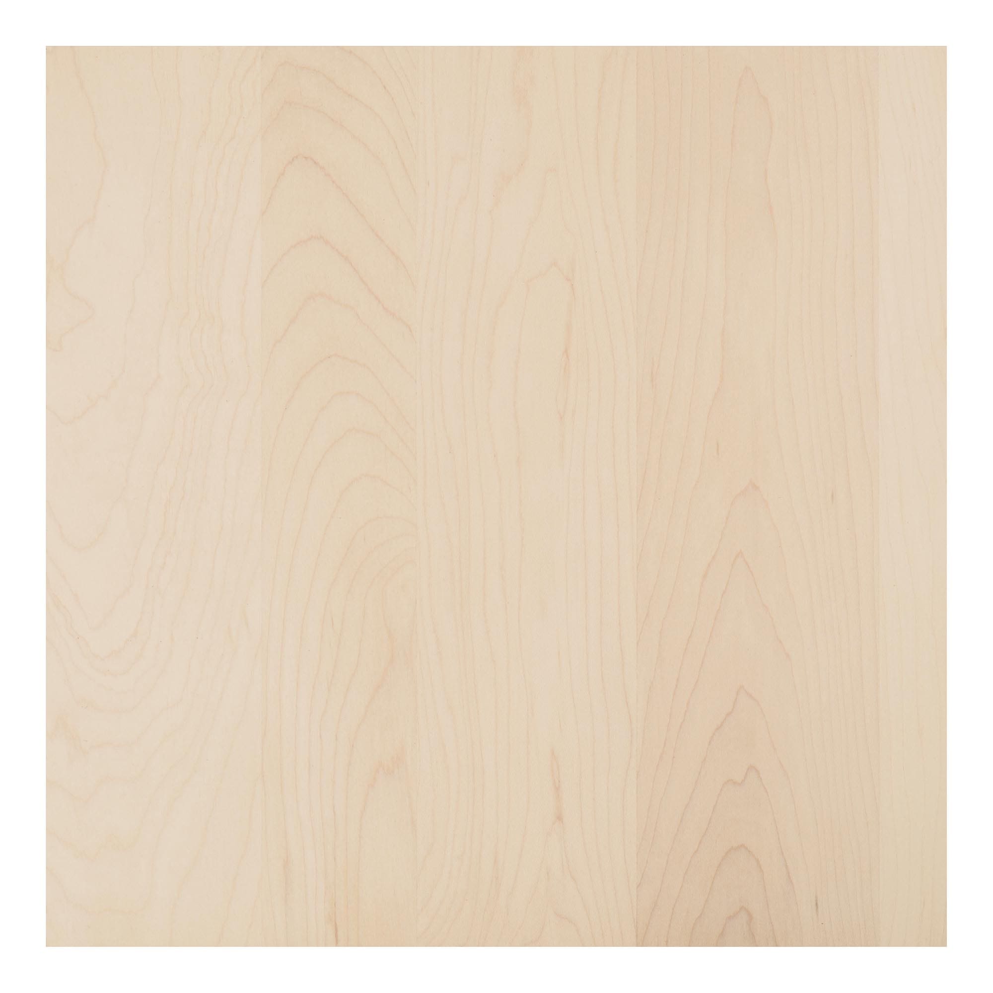 Parchment Maple